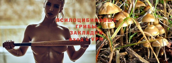 скорость Зерноград