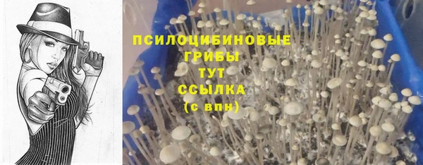 скорость Зерноград